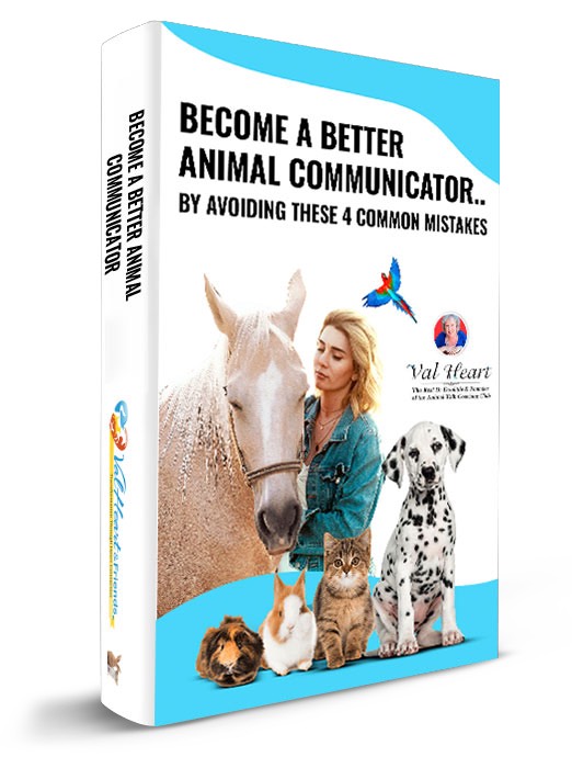 Be a better animal communicator