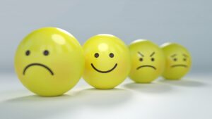 emotions in animal communication emotions