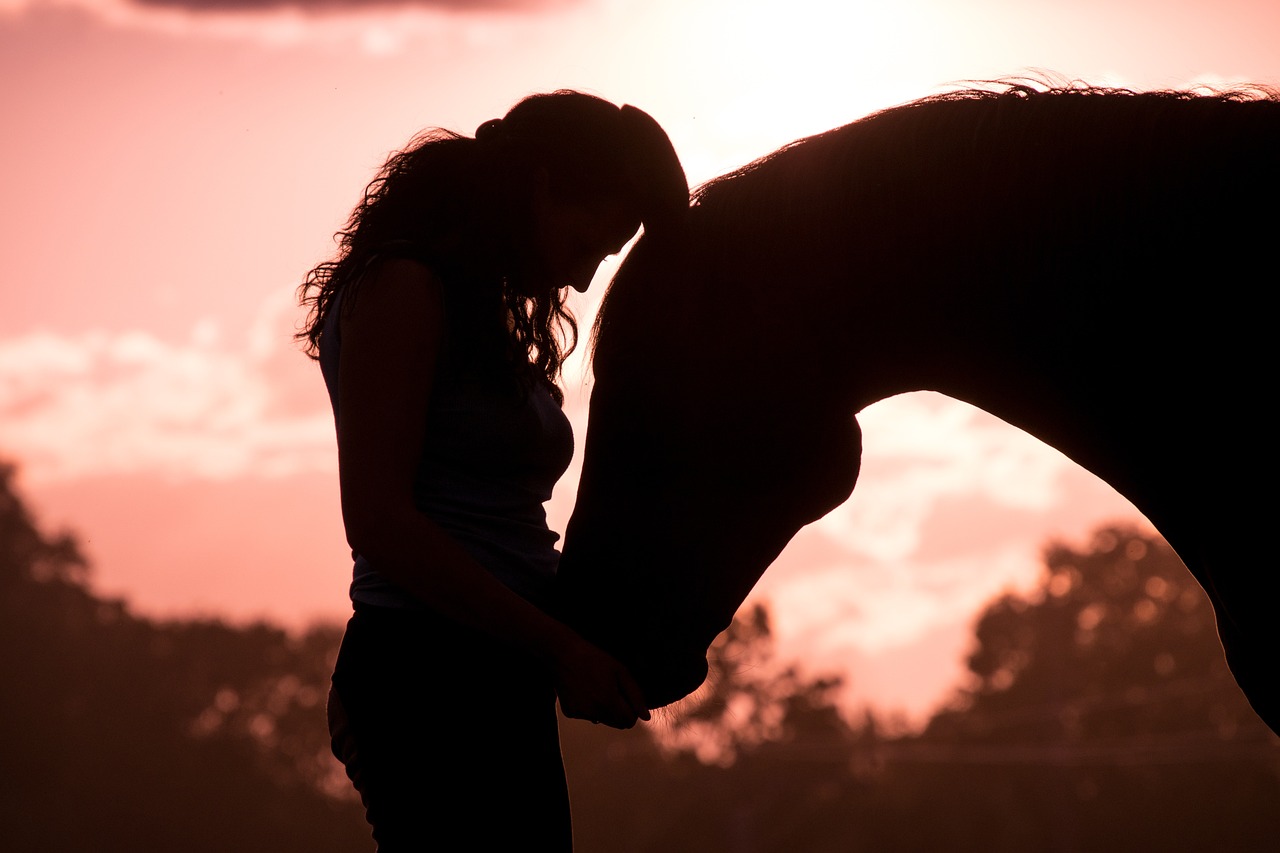 intuition horse