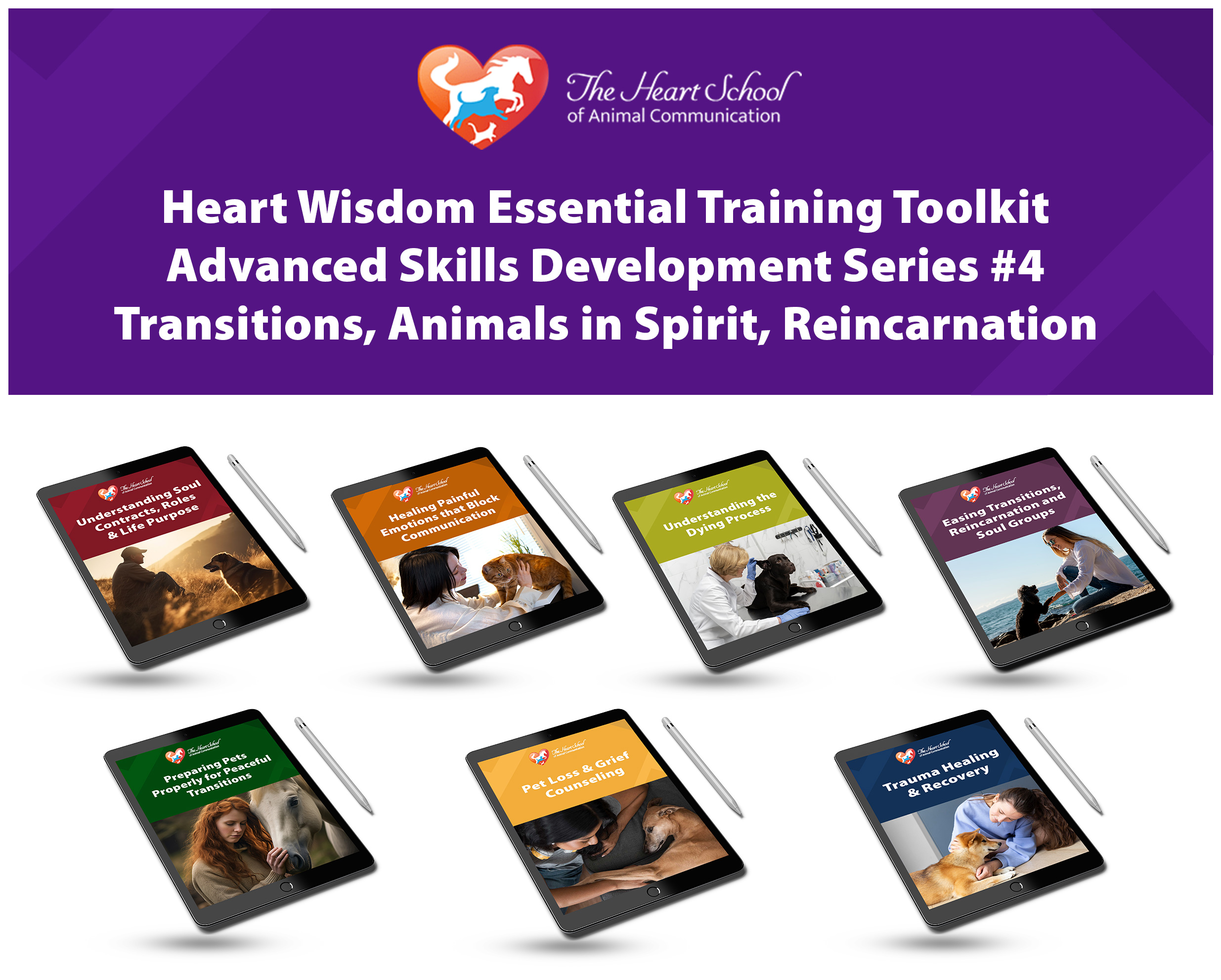 Toolkit Adv Skills Development Series Transitions #4