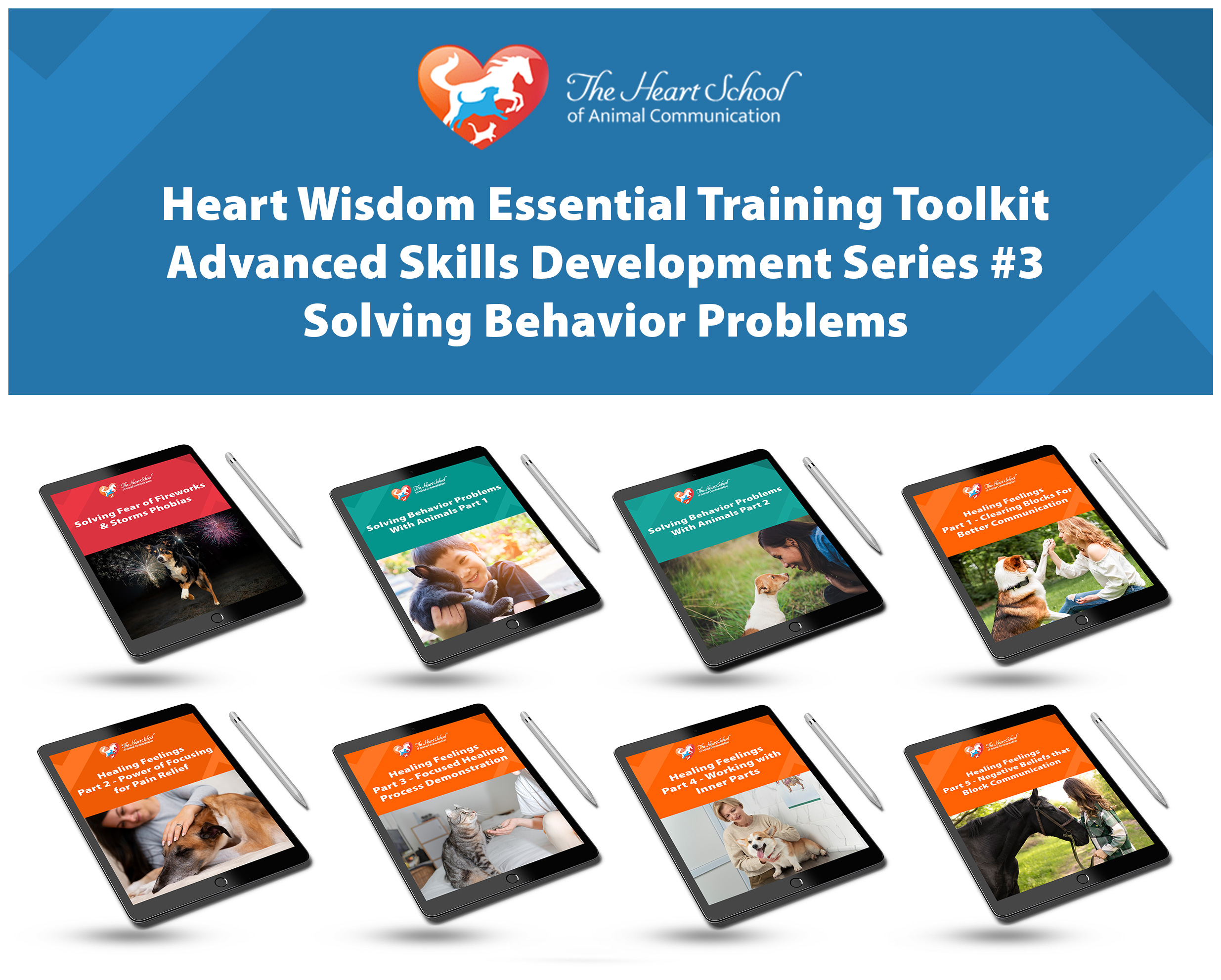 Heart-Wisdom-Essential-Training-Toolkit-Transitions,-Animals-in-Spirit,--Reincarnation (1)