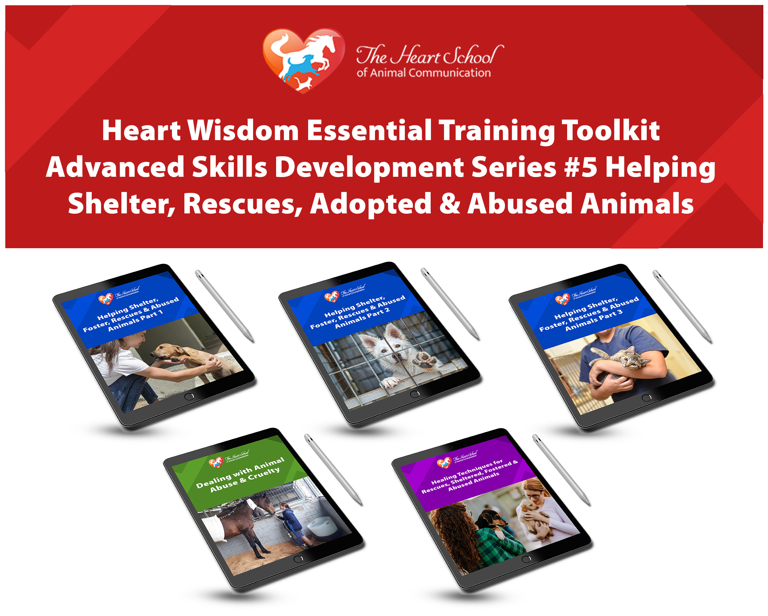 Heart-Wisdom-Essential-Training-Toolkit-Advanced-Skills-Development-Series- (1)
