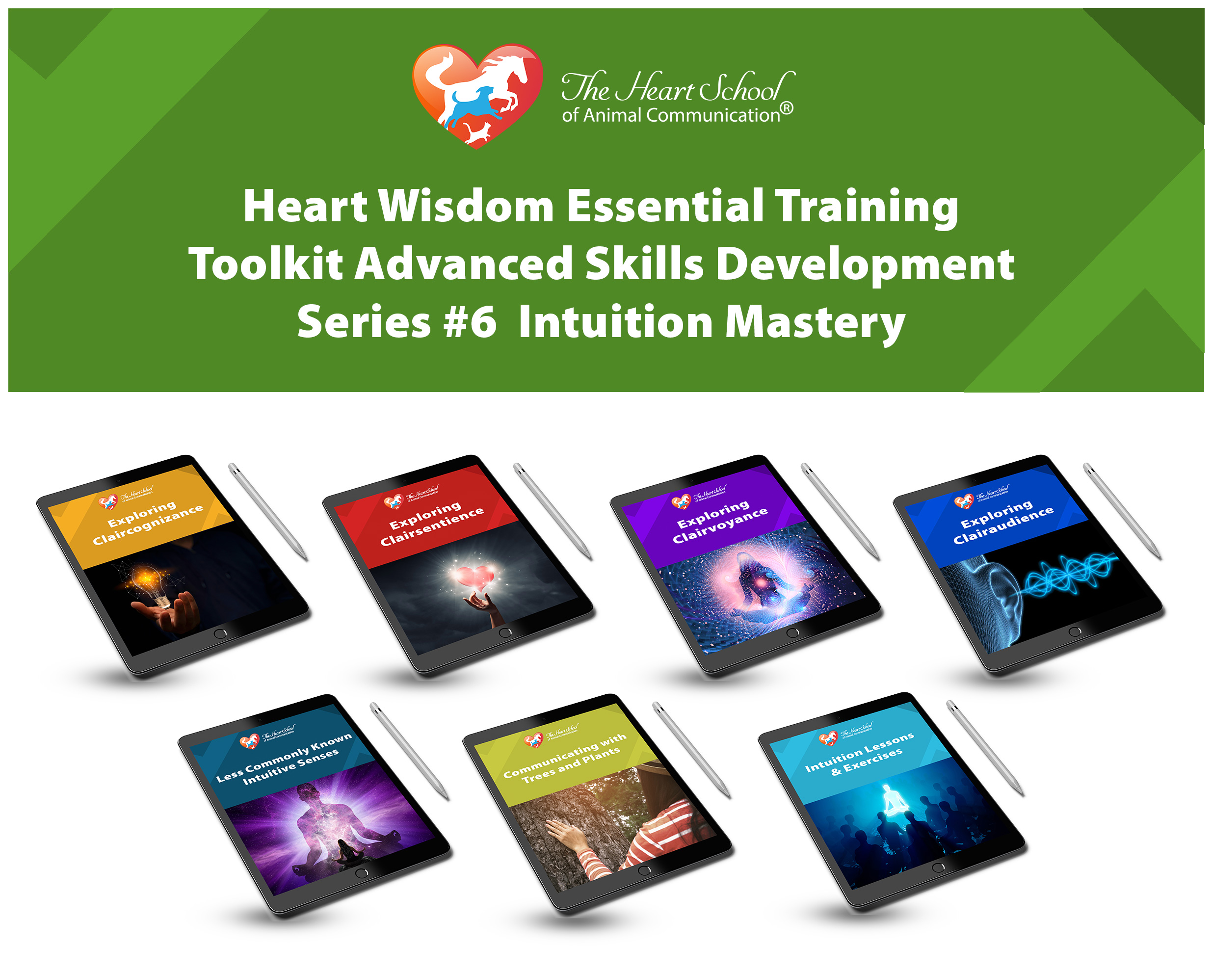 Heart-Wisdom-Essential-Training-Toolkit-Advanced-Skills-Development-Series-#8-Intuition-Development