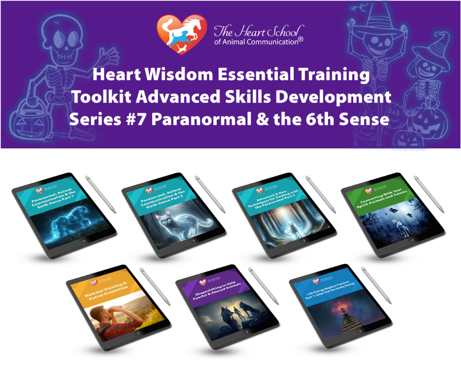 mastering animal communication
